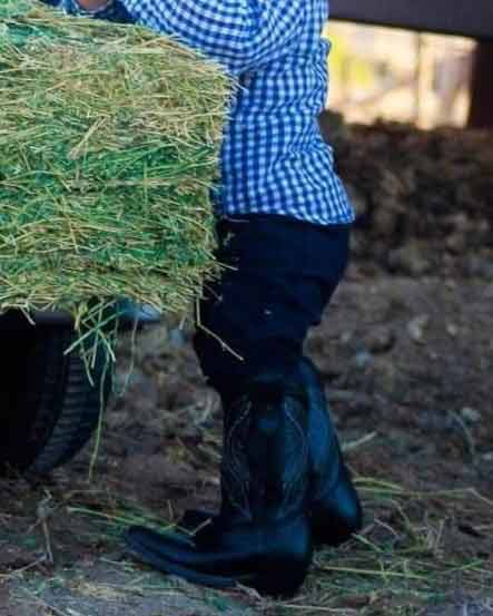 botas vaqueras para niños | botas para niños vaqueras | botas vaqueras para niño | botas para niño vaqueras | bota vaquera para niño | botas de vaquero para niño | botas vaqueras para niños baratas | botas de vaquero para niños | botas de vaqueros para niños | botas vaquera para niño | botas vaqueras cuadra para niños | venta de botas vaqueras para niños | precio de botas vaqueras para niño | botas vaqueras cuadra para niños | Tienda de botas vaqueras para niños